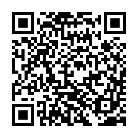 QR code for plate DFB 853