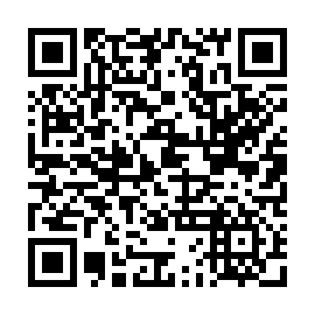 QR code for plate DFD 317