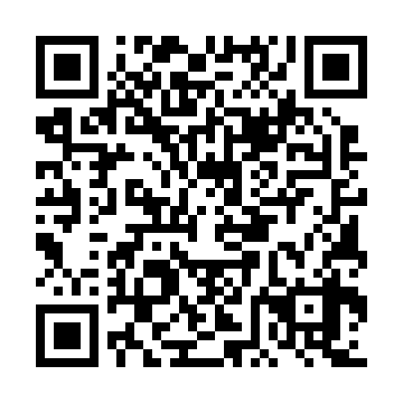 QR code for plate DFE 238