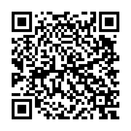 QR code for plate DFE 424