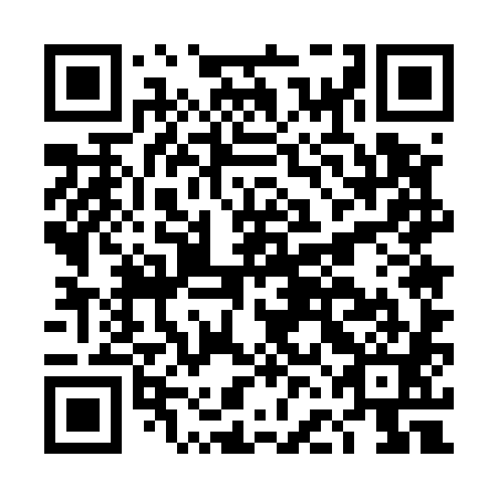 QR code for plate DFE 581