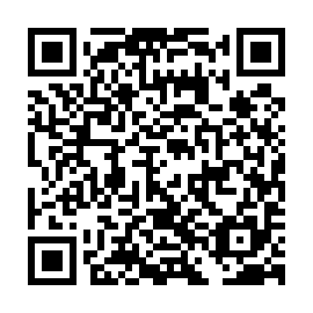 QR code for plate DFE 595