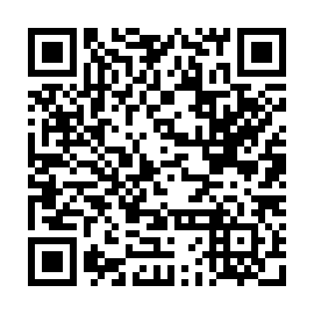 QR code for DFF 382