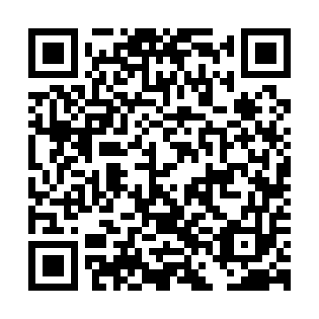 QR code for plate DFF 153