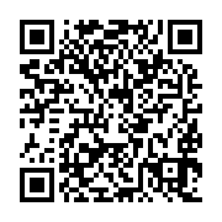 QR code for plate DFF 993