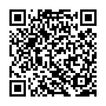QR code for DFG 461