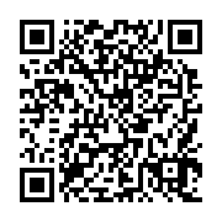 QR code for plate DFH 347