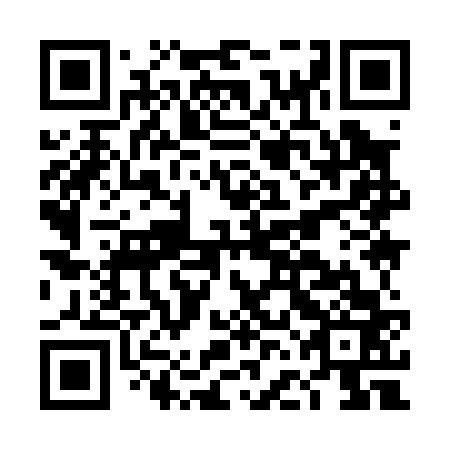 QR code for DFI 063