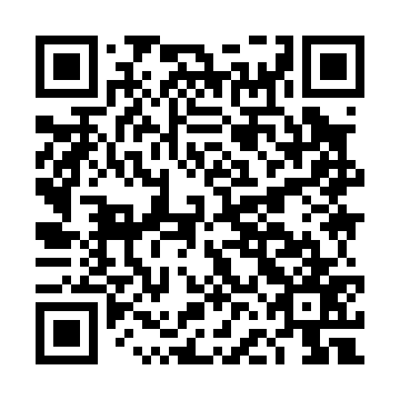 QR code for plate DFI 077