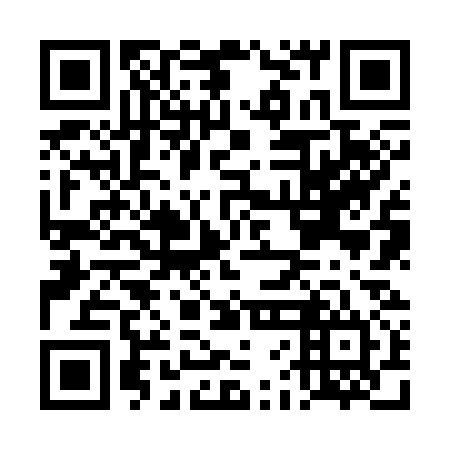 QR code for plate DFJ 334