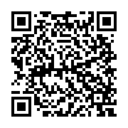QR code for DFK 786