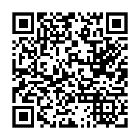 QR code for plate DFL 363