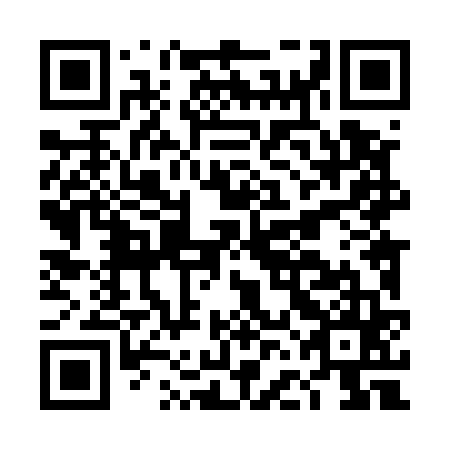 QR code for plate DFL 565