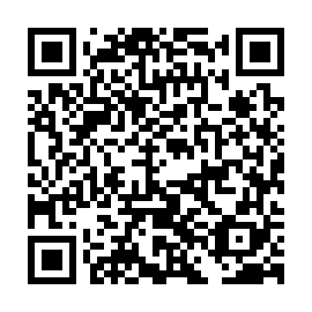 QR code for plate DFM 368