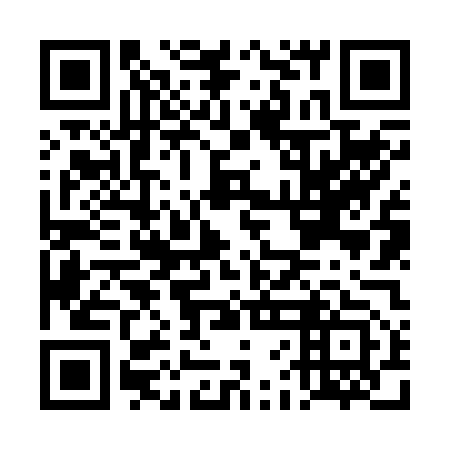 QR code for DFN 253