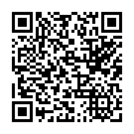 QR code for DFN206