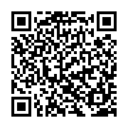 QR code for plate DFN 594