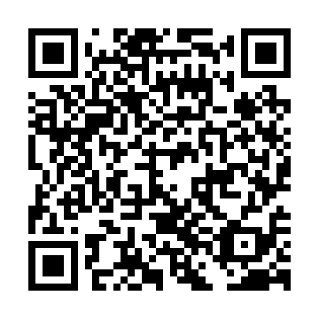 QR code for plate DFO 219