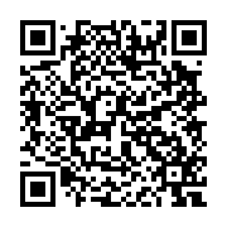 QR code for plate DFP 017