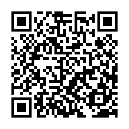 QR code for plate DFP 022