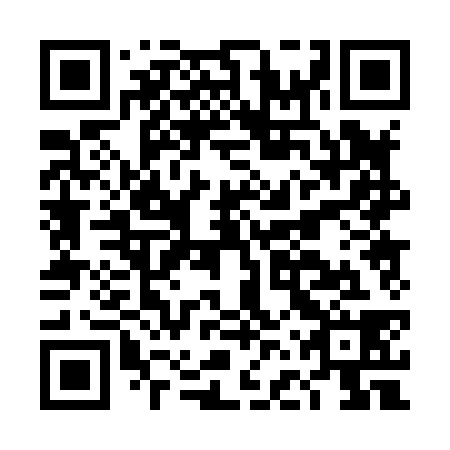 QR code for plate DFP 838