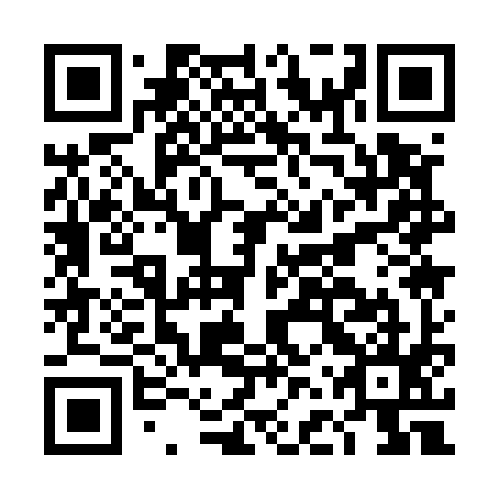 QR code for DFQ 595
