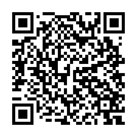 QR code for plate DFR 306