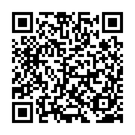 QR code for DFS 360