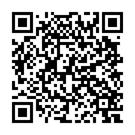 QR code for DFS006