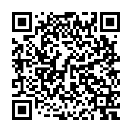 QR code for plate DFS 160