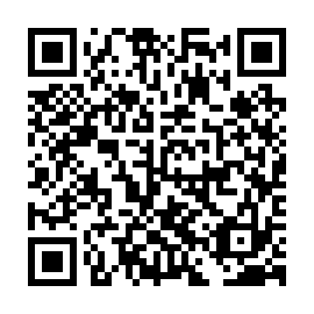 QR code for DFS233
