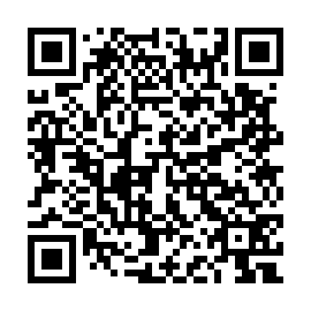 QR code for plate DFS 572