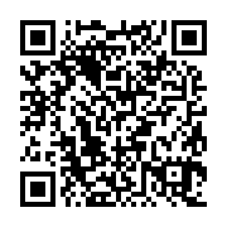 QR code for plate DFS 985