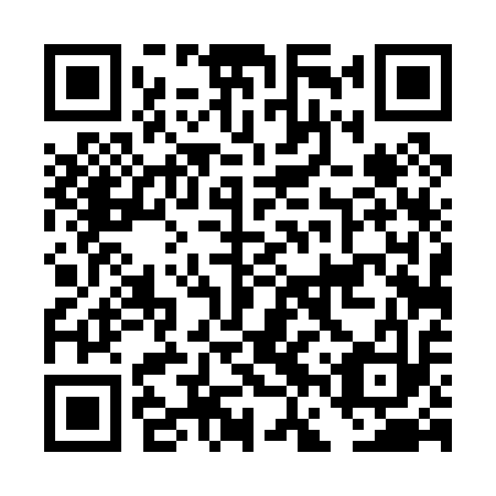 QR code for DFT 013