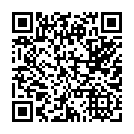 QR code for DFT 299
