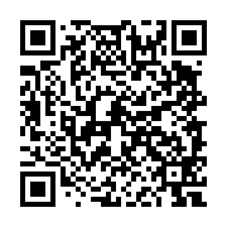 QR code for DFT 499