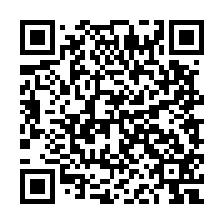 QR code for DFT 513