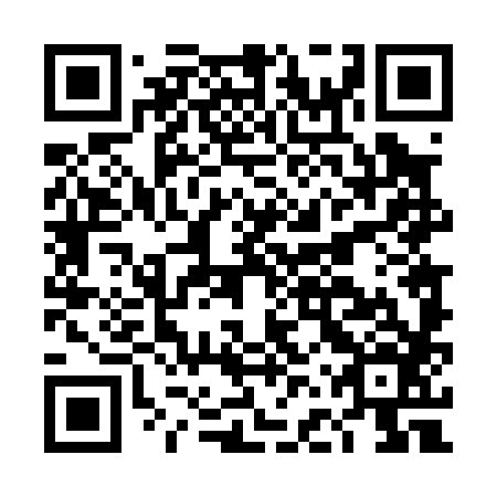 QR code for plate DFT 086