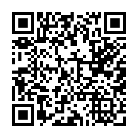 QR code for DFU 381