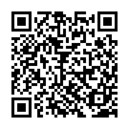 QR code for DFU303