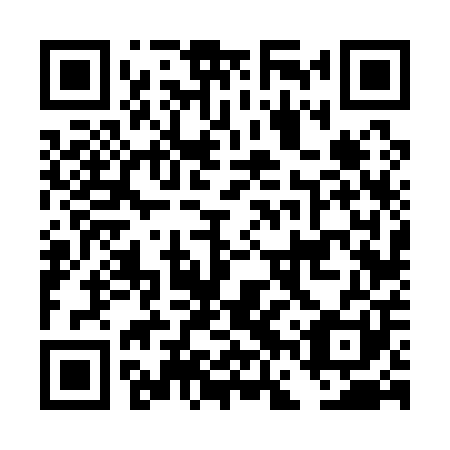 QR code for DFV 101