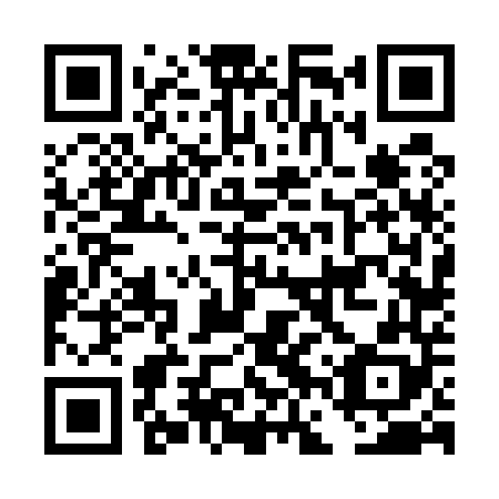 QR code for plate DFV 548