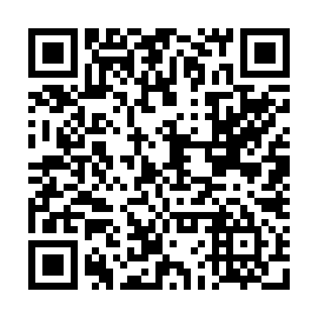 QR code for DFW 295