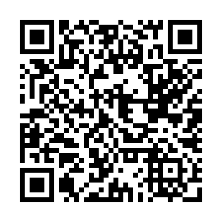 QR code for DFW 391