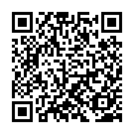 QR code for plate DFW 200