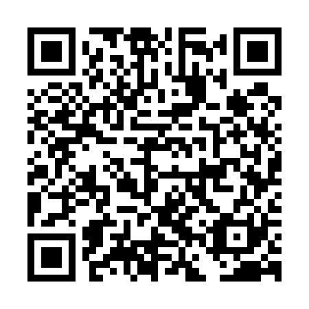 QR code for plate DFW 521