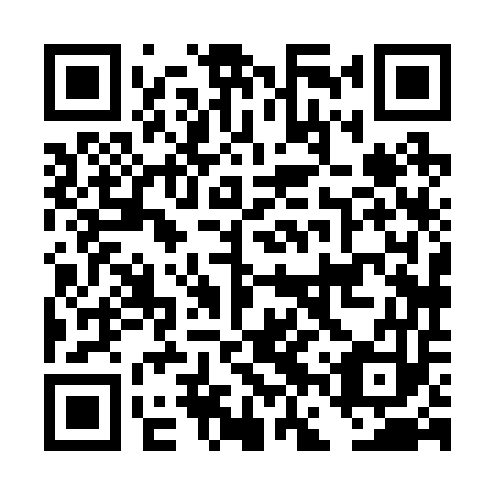 QR code for DFX 253
