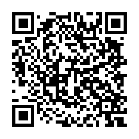 QR code for plate DFX 406