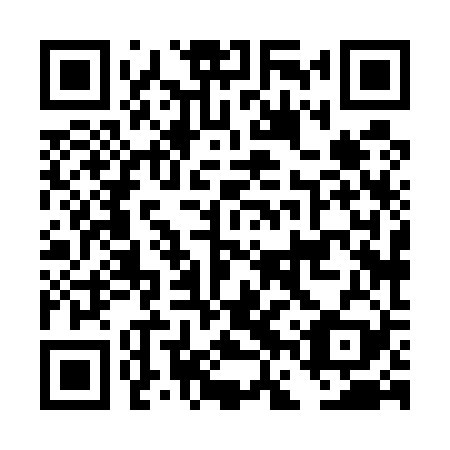 QR code for plate DFX 529