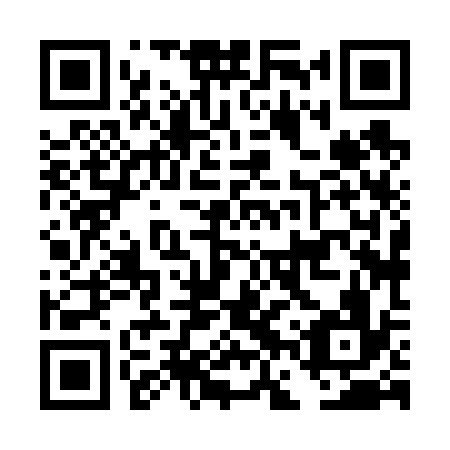 QR code for DFX636